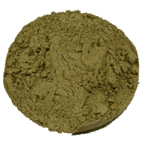 Pontianak Horn - Kratom | Mitragyna Speciosa